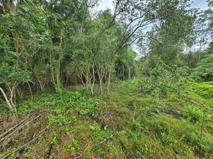 Commercial Property for Sale in Wilderness Heights Western Cape